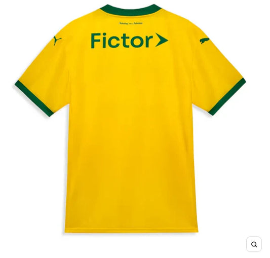 CAMISA PALMEIRAS TERCEIRO 25/26 - TORCEDOR