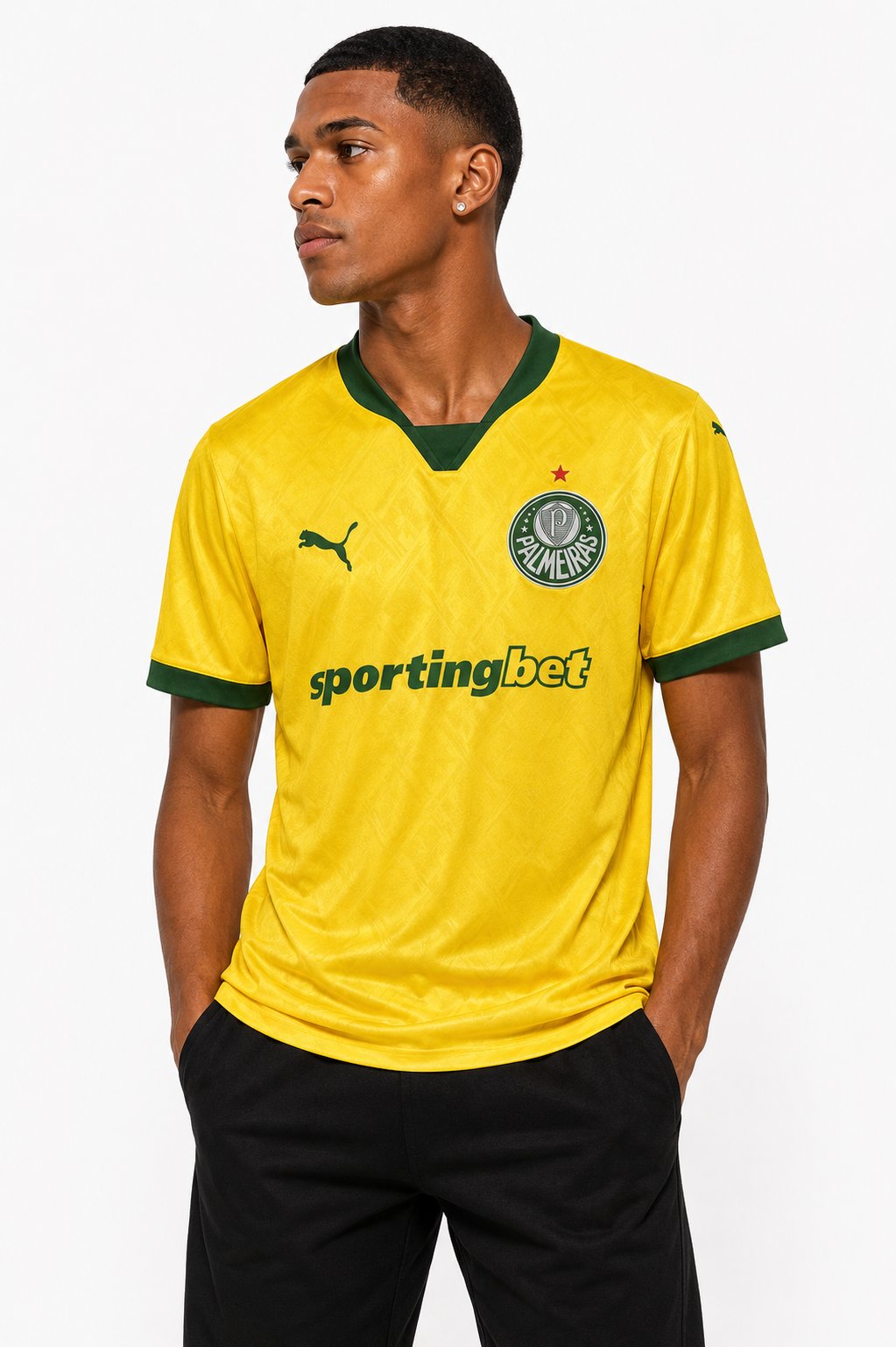 CAMISA PALMEIRAS TERCEIRO 25/26 - TORCEDOR