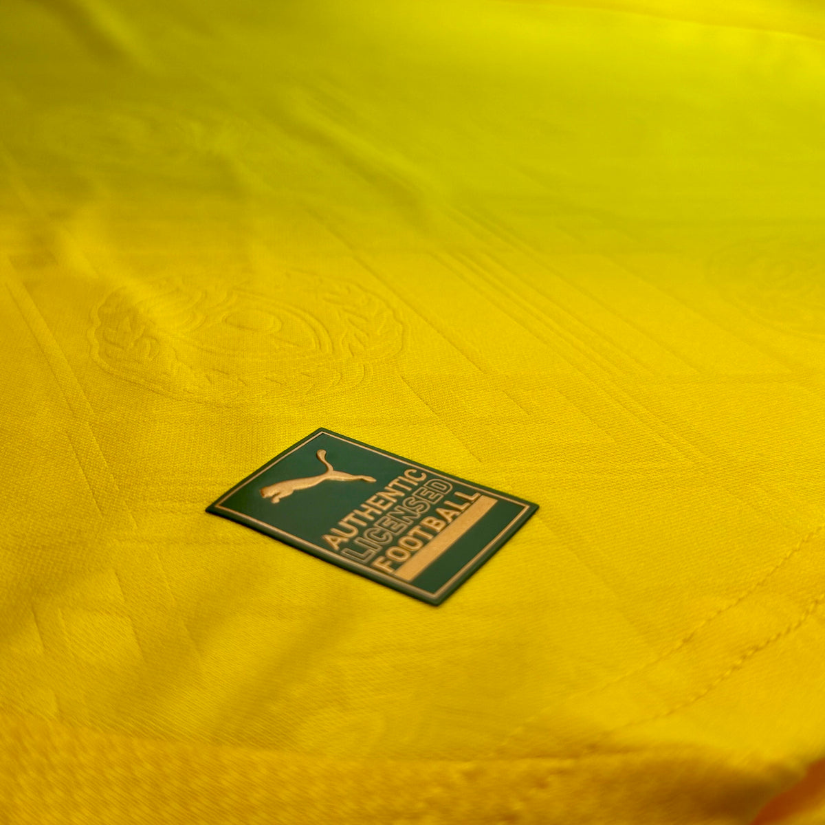 CAMISA PALMEIRAS TERCEIRO 25/26 -  JOGADOR