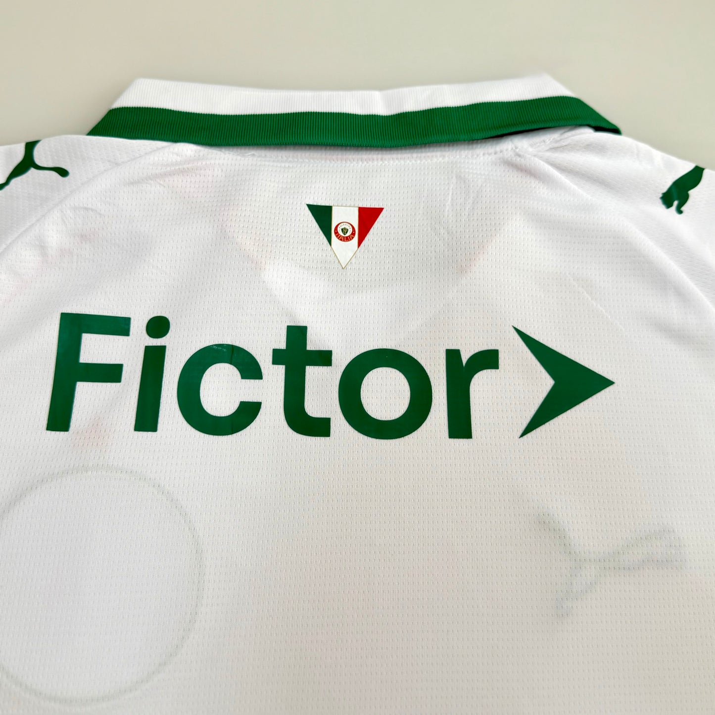 CAMISA PALMEIRAS RESERVA 26/27-TORCEDOR