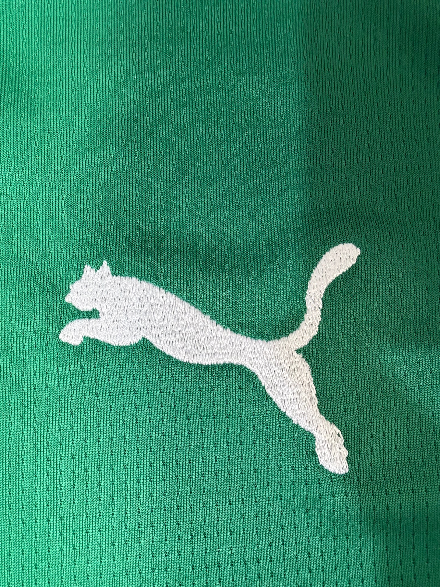 CAMISA PALMEIRAS TITULAR 26/27 - FEMININA