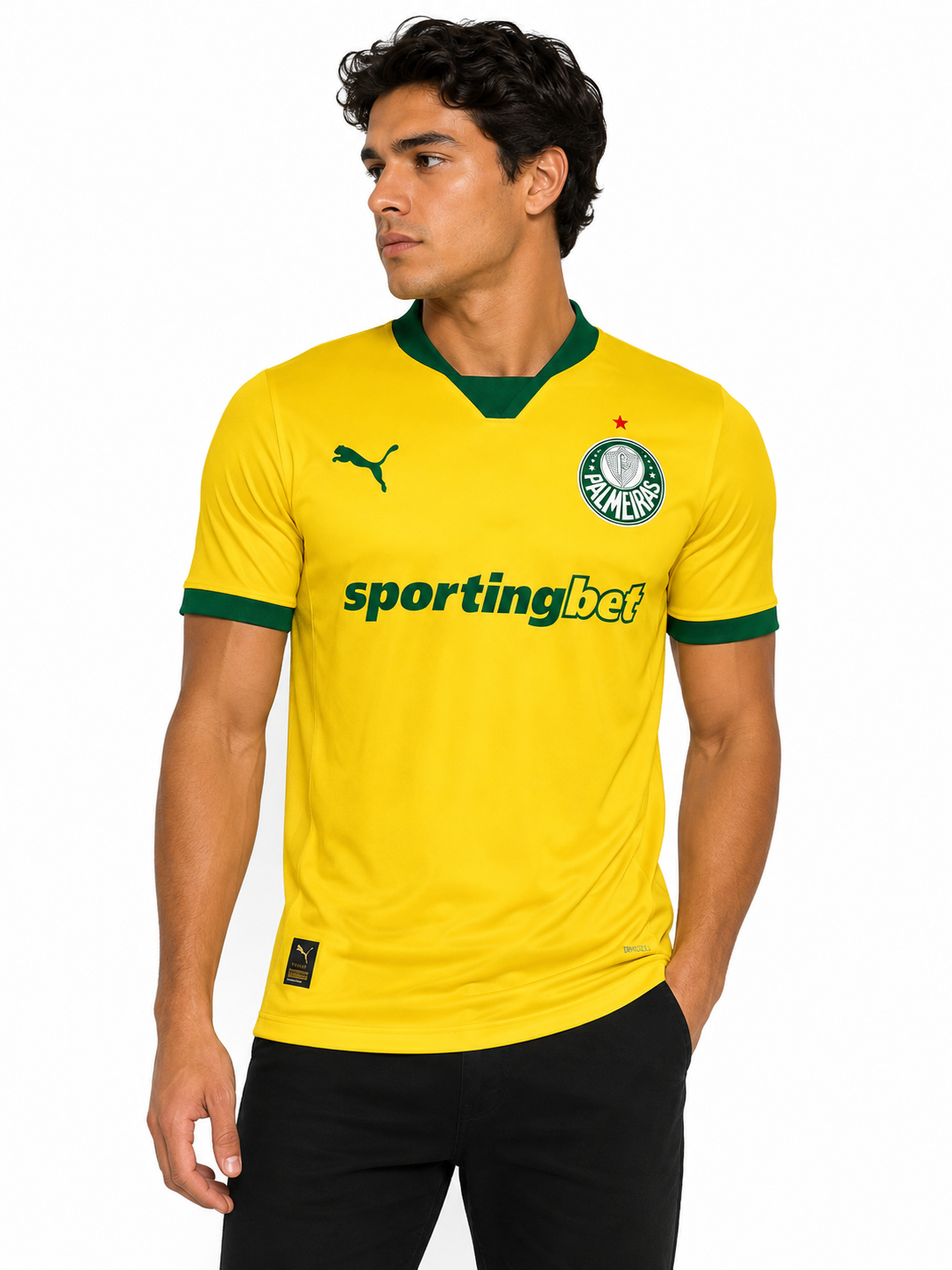 CAMISA PALMEIRAS TERCEIRO 25/26 -  JOGADOR